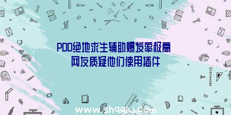 PDD绝地求生辅助爆发率极高